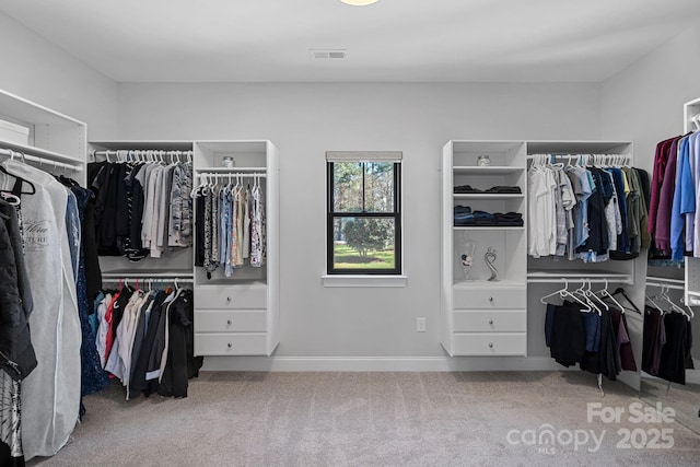 spacious closet with carpet flooring and visible vents