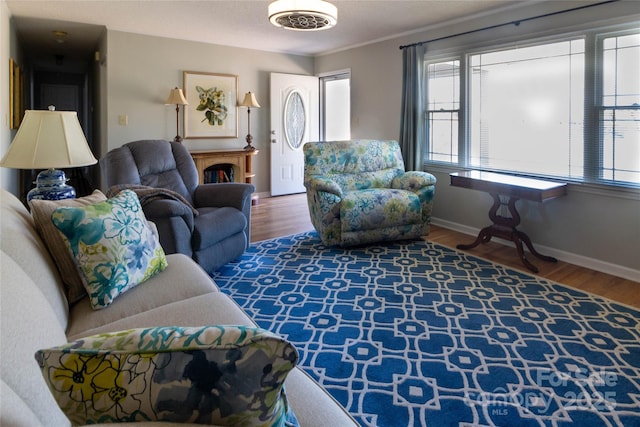 living area featuring a fireplace, baseboards, and wood finished floors