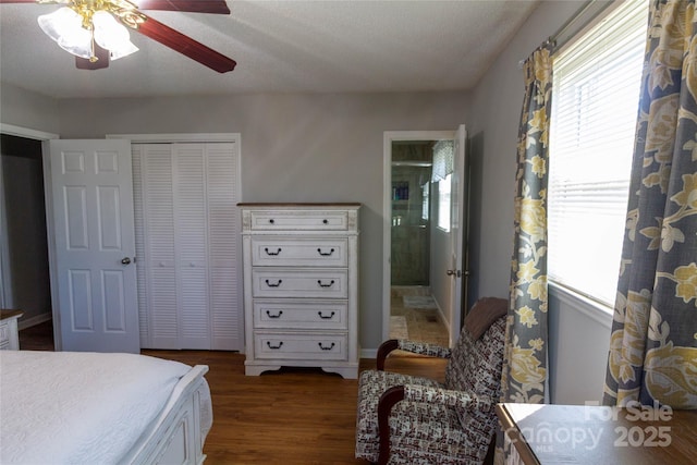 bedroom with a closet, ensuite bathroom, dark wood-type flooring, and a ceiling fan