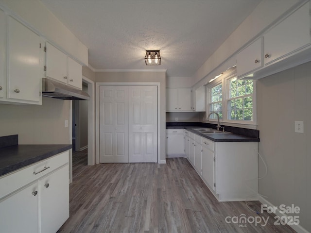 kitchen with dark countertops, a sink, white cabinetry, and under cabinet range hood