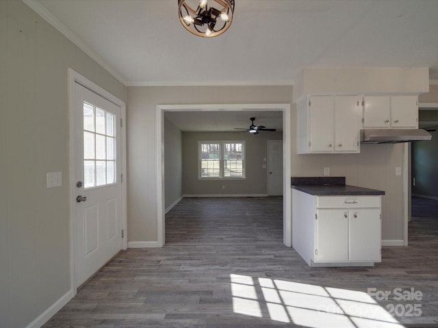 kitchen featuring white cabinets, crown molding, under cabinet range hood, and wood finished floors