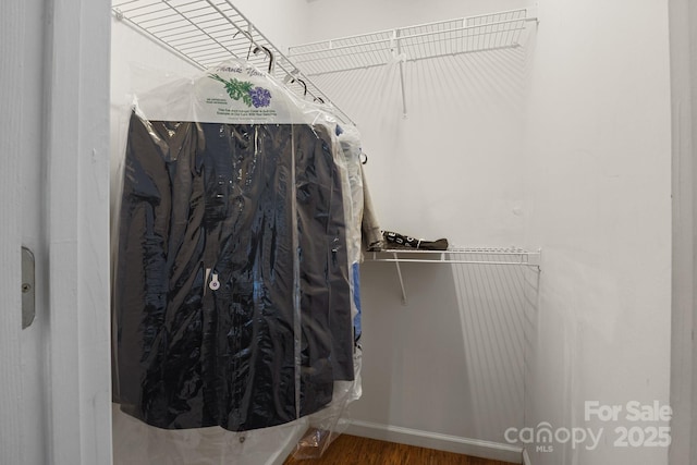 walk in closet featuring wood finished floors