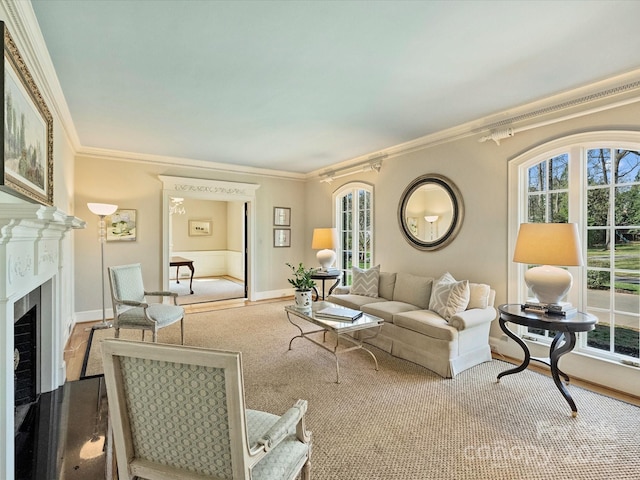 living area featuring ornamental molding, a fireplace, and baseboards