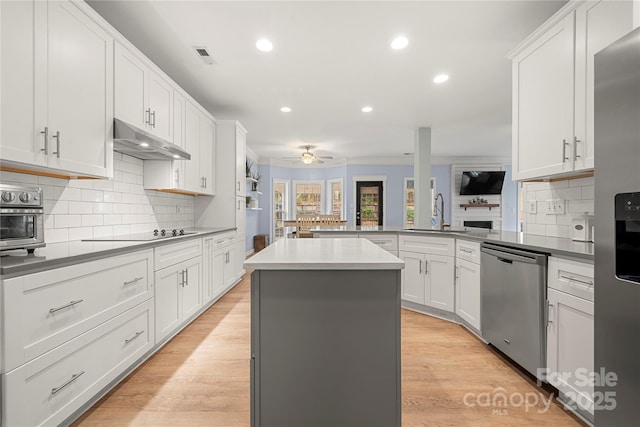 kitchen with stainless steel appliances, a sink, under cabinet range hood, and light wood-style flooring