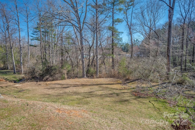 view of yard featuring a wooded view