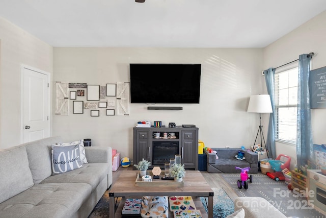 living area featuring wood finished floors