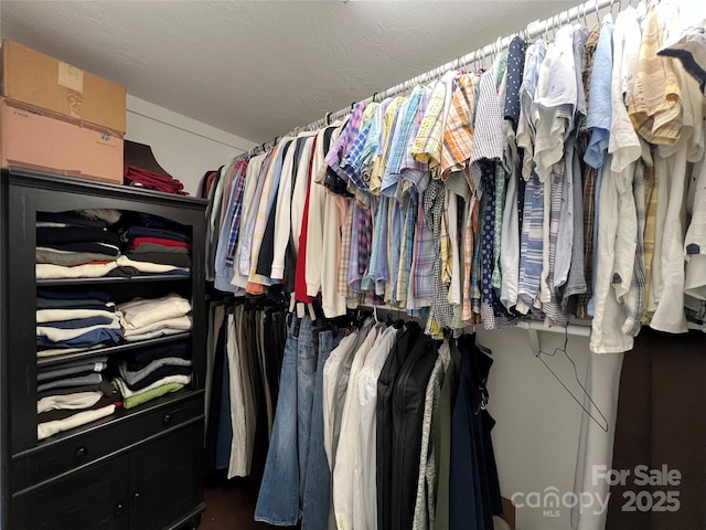 view of walk in closet