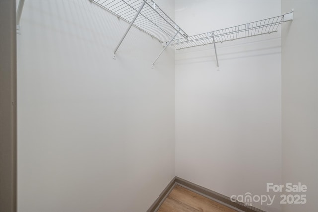 spacious closet featuring light wood-type flooring