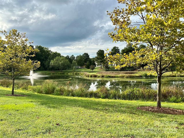 property view of water