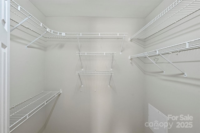 view of walk in closet