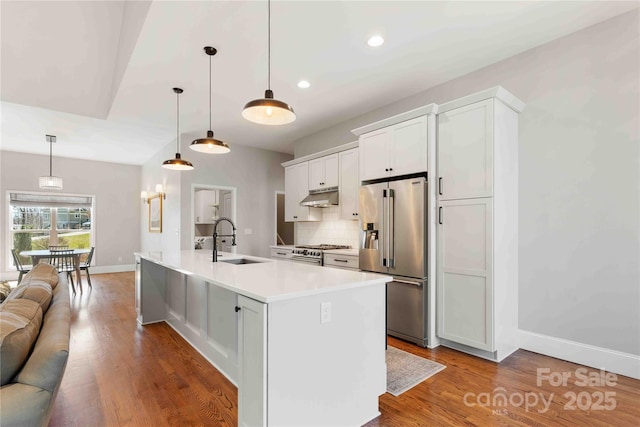 kitchen with premium appliances, under cabinet range hood, wood finished floors, a sink, and backsplash