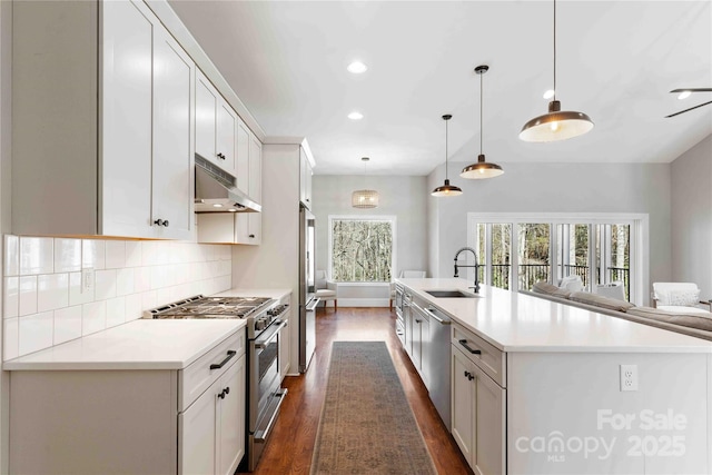 kitchen featuring tasteful backsplash, dark wood finished floors, stainless steel appliances, under cabinet range hood, and a sink