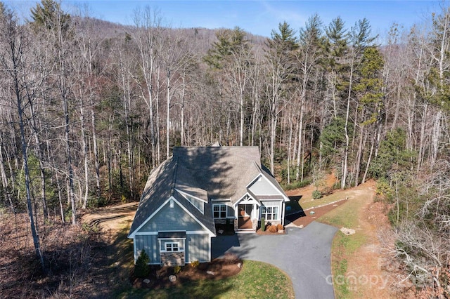 view of front of property featuring driveway and a view of trees