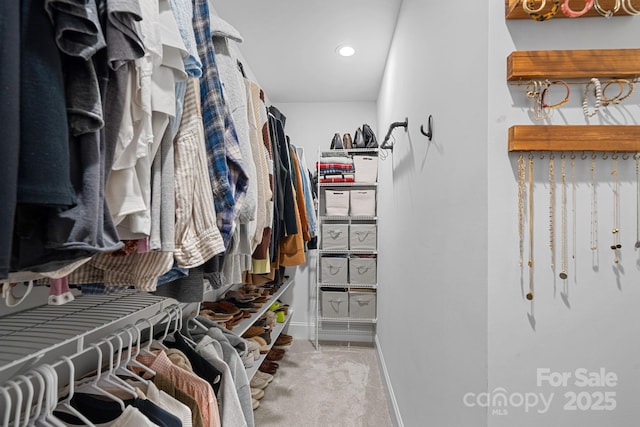 spacious closet featuring carpet flooring