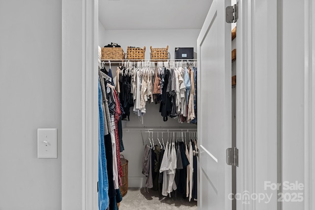 view of spacious closet