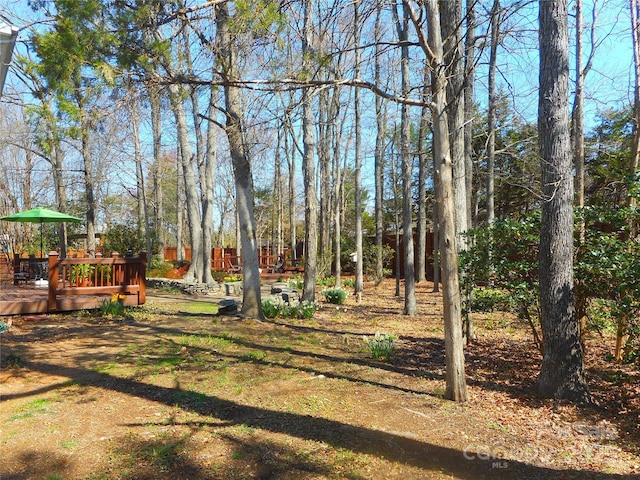 view of yard featuring a deck