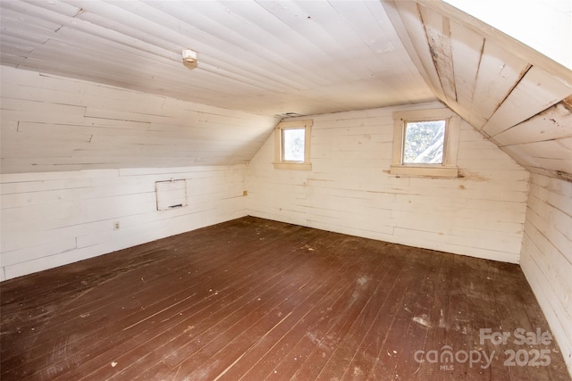 bonus room featuring dark wood-style floors, plenty of natural light, and wood walls