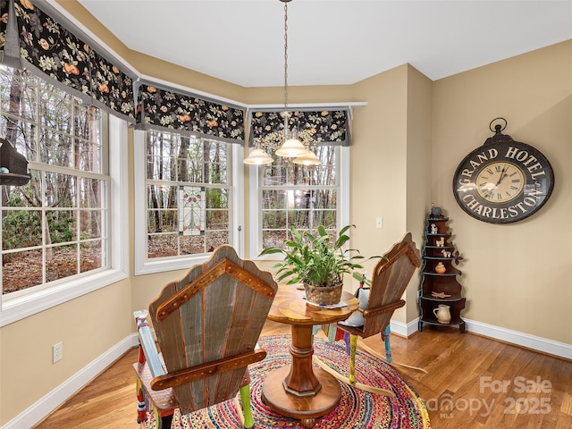 dining space featuring baseboards and wood finished floors