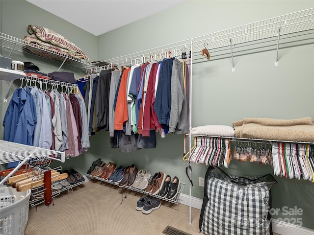 spacious closet with carpet