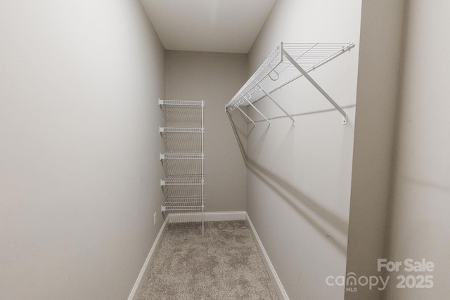 spacious closet with carpet