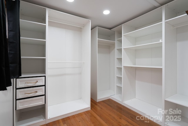 spacious closet featuring wood finished floors