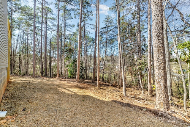 2206 Hillcrest Ave, Albemarle, NC 28001 - view of yard
