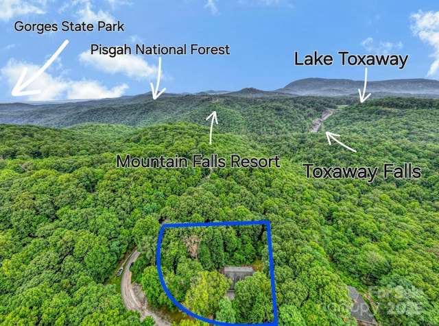 mountain view featuring a heavily wooded area