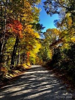 view of street with a view of trees