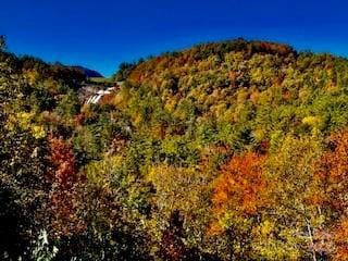 view of mountain background featuring a forest