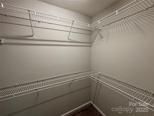 view of spacious closet