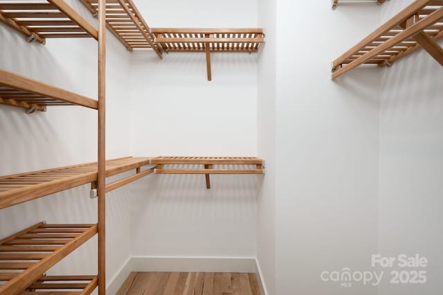 spacious closet featuring light wood-type flooring