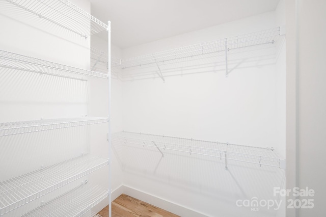 spacious closet with wood finished floors