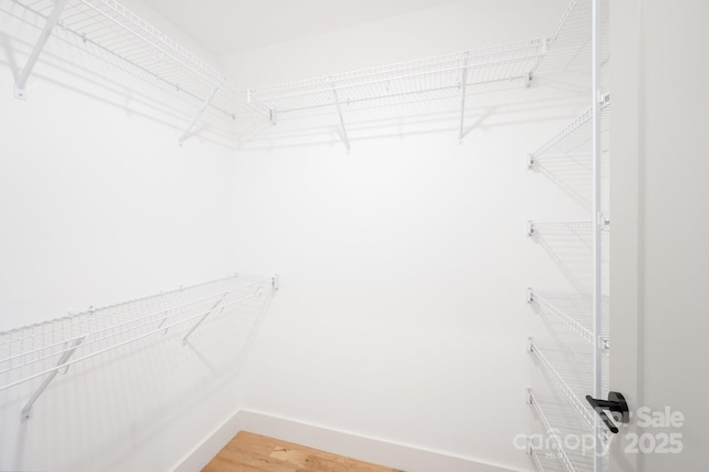 spacious closet featuring light wood-style floors