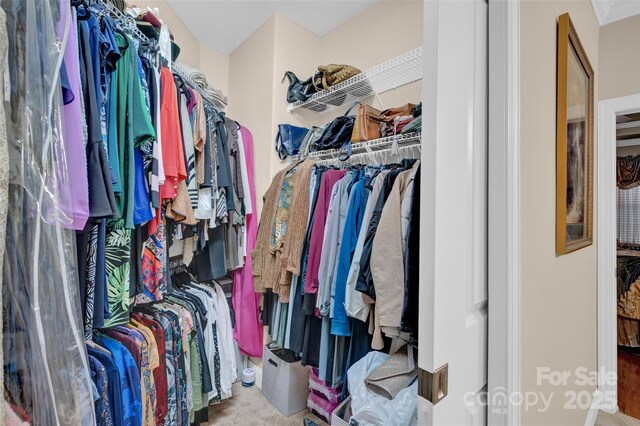 spacious closet with carpet