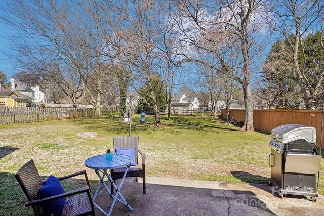 view of yard with a patio and a fenced backyard