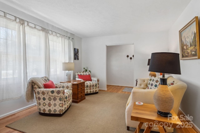 sitting room featuring baseboards and wood finished floors