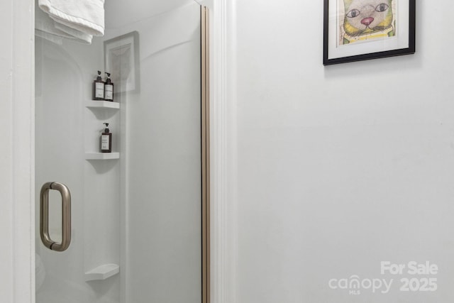 bathroom featuring a shower stall