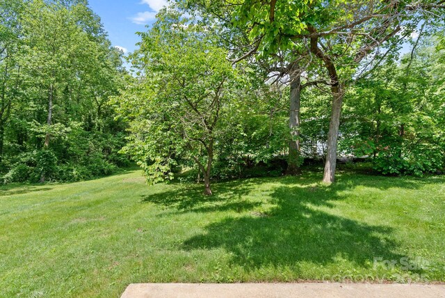 12 Springwood Dr, Asheville, NC 28805 - photo 40