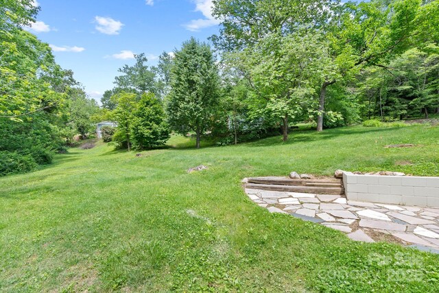 12 Springwood Dr, Asheville, NC 28805 - photo 43