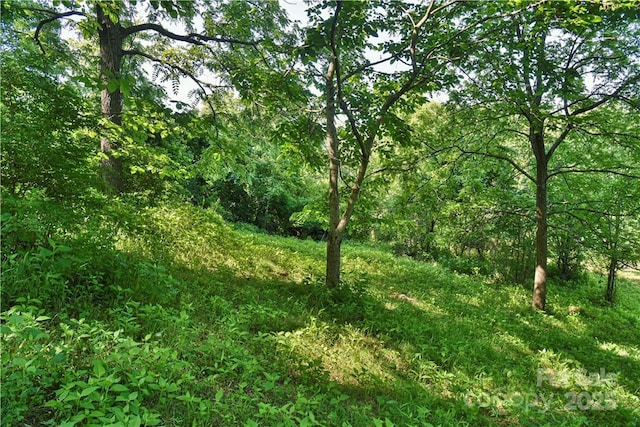 view of nature with a forest view