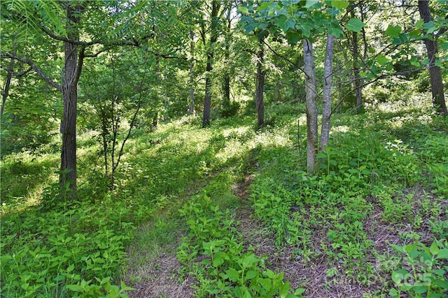 view of nature with a wooded view
