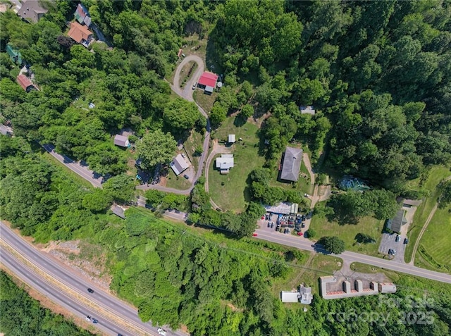 bird's eye view