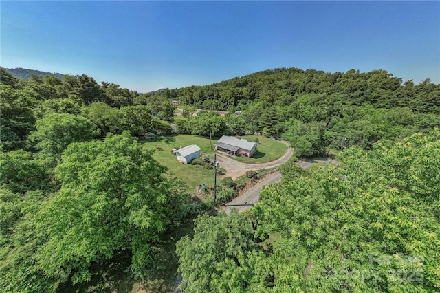 bird's eye view with a forest view