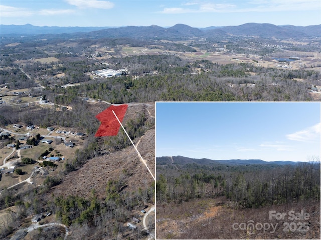 Listing photo 2 for 00 Star Point Dr Unit 09, Hendersonville NC 28792