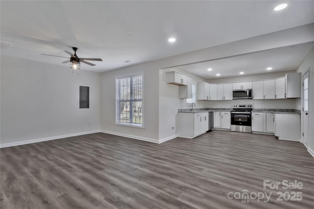 kitchen featuring a sink, open floor plan, appliances with stainless steel finishes, electric panel, and dark wood-style floors