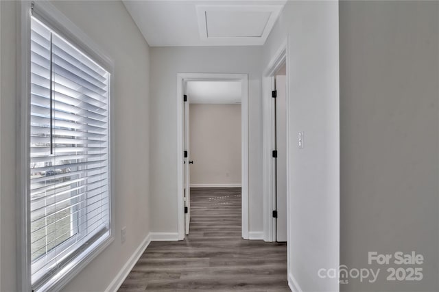 corridor featuring dark wood-type flooring, plenty of natural light, attic access, and baseboards