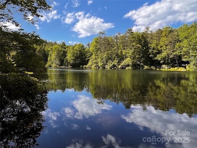 view of water feature with a view of trees