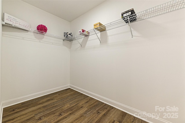 walk in closet with dark wood-style flooring