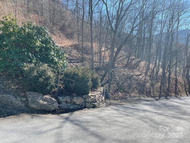 Listing photo 2 for 362 Equestrian Dr Unit 18, Waynesville NC 28786