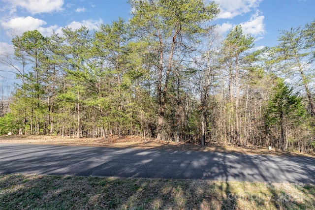 17308 Green Hill Rd Unit 23, Charlotte NC, 28278 land for sale